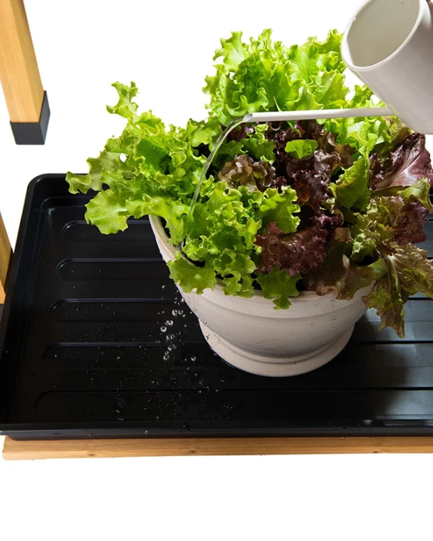 Station de travail pour jardin d'herbes aromatiques d'intérieur avec lampe de croissance LED 50W et plateau de plantation