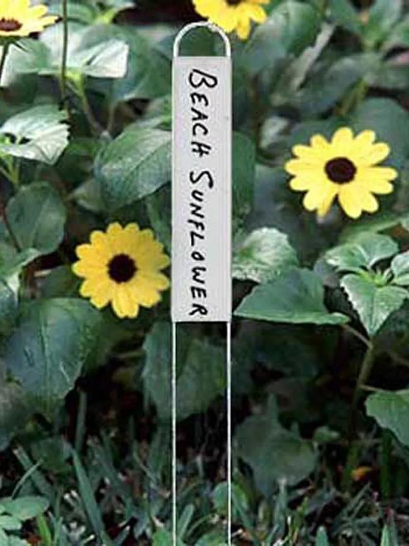 Marqueurs de plantes verticaux, lot de 25 étiquettes de jardin fines avec plaque nominative