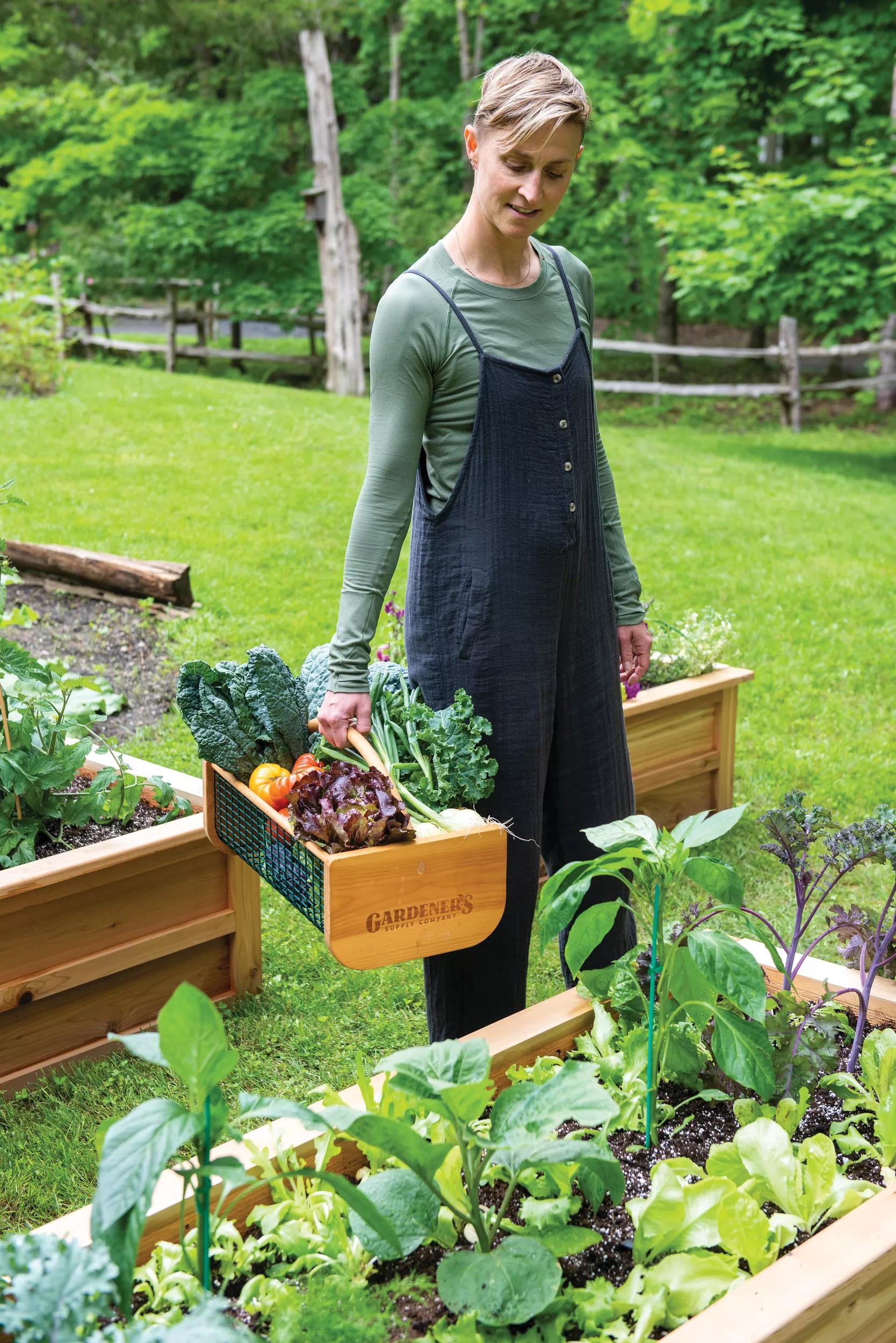 Panier de récolte de jardin en treillis métallique à cadre en bois avec poignée