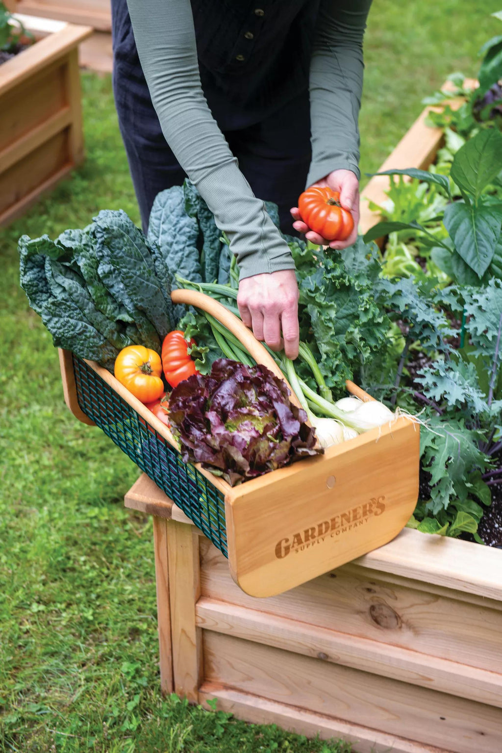 Panier de récolte de jardin en treillis métallique à cadre en bois avec poignée
