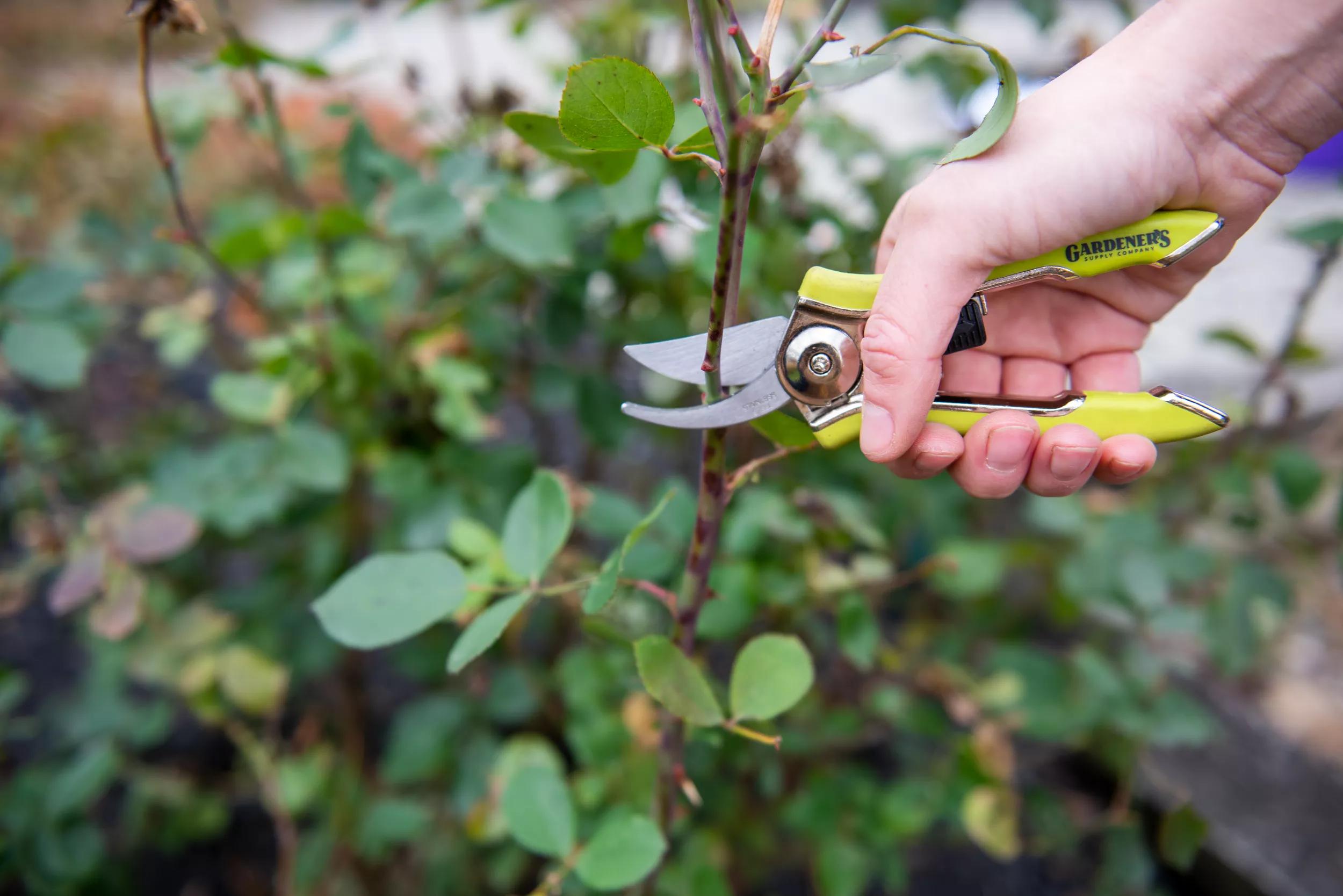 Sécateur de poche ergonomique orange Cisailles de jardin compactes, tranchantes et précises
