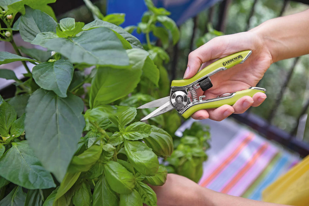 Cisaille de jardin orange de poche, précision, avec lame verrouillable