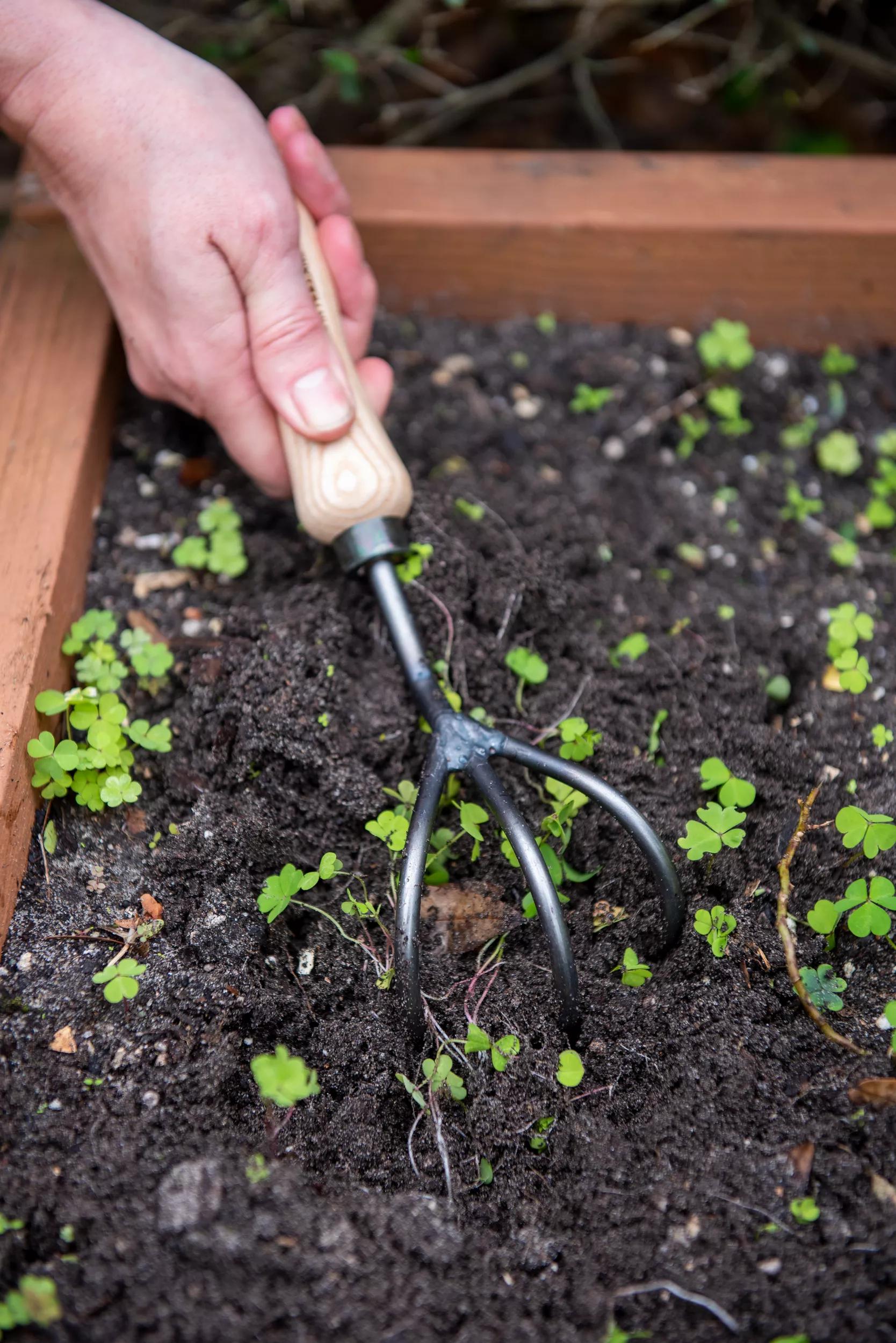 Cultivateur en acier à haute teneur en carbone forgé à la main avec manche en bois dur