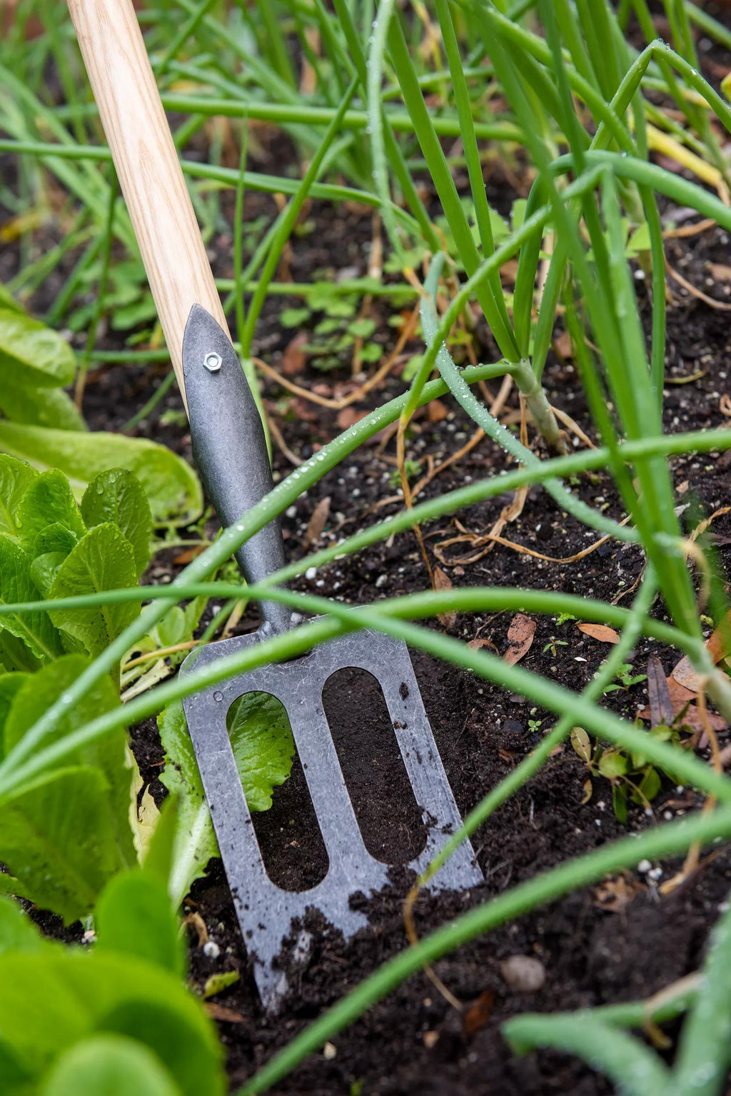 Fourche de jardin, acier forgé à la main, cultivateur de sol, désherbage, outil de creusage