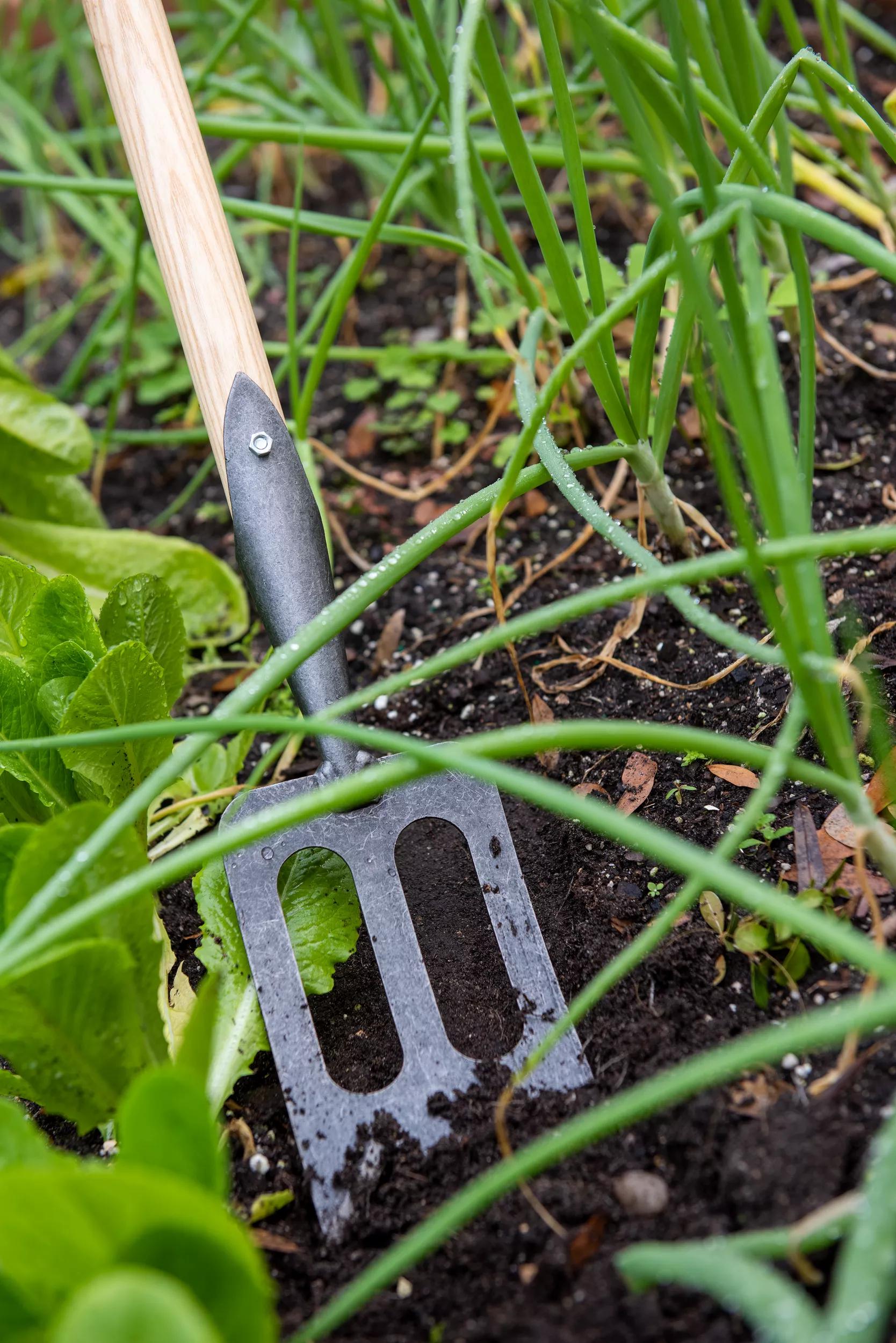 Fourche de jardin, acier forgé à la main, cultivateur de sol, désherbage, outil de creusage