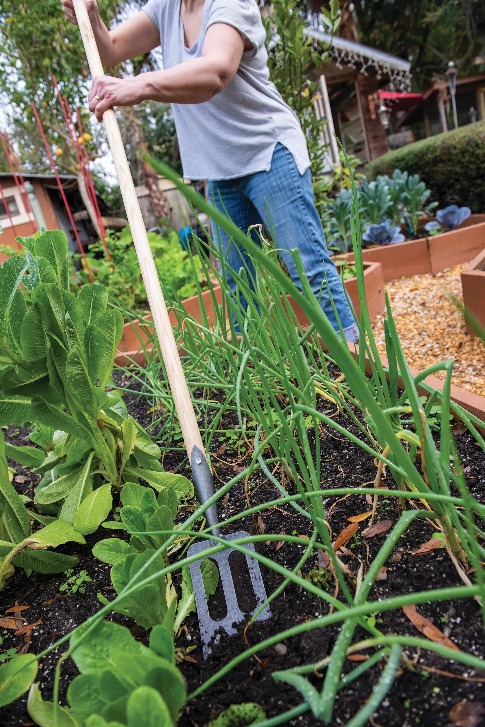 Fourche de jardin, acier forgé à la main, cultivateur de sol, désherbage, outil de creusage