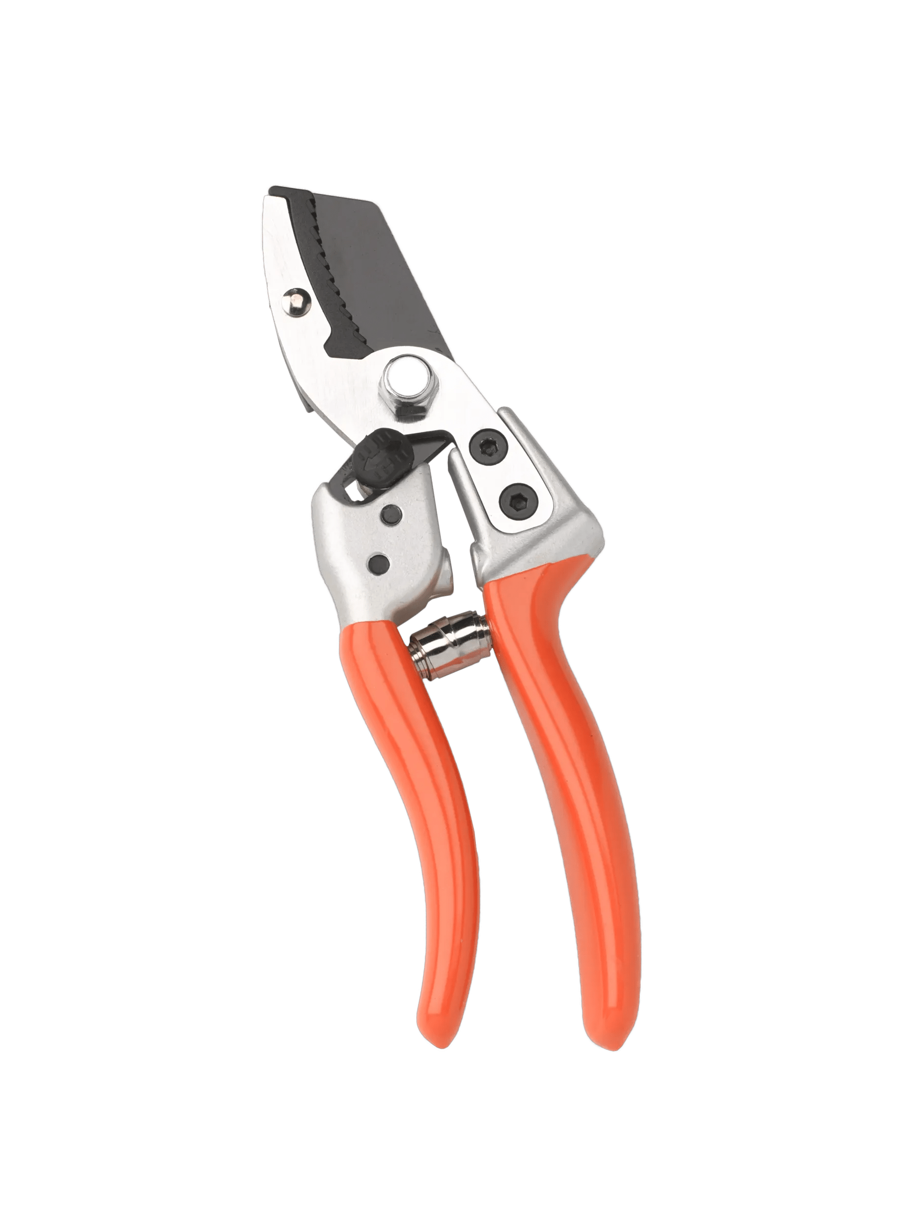 Sécateur à enclume robuste Cisaille de jardin avec amortisseur Manche orange