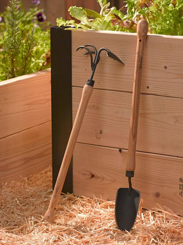 Transplantoir pour Carré Potager avec Long Manche en Bois pour Jardiniers Passionnés