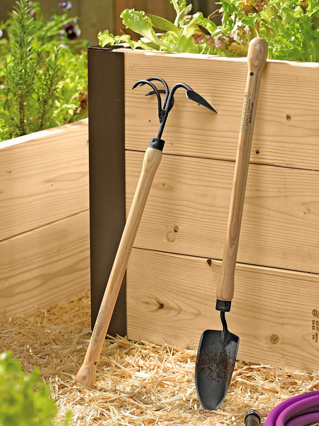 Binette-cultivateur 2-en-1 surélevé avec manche en bois