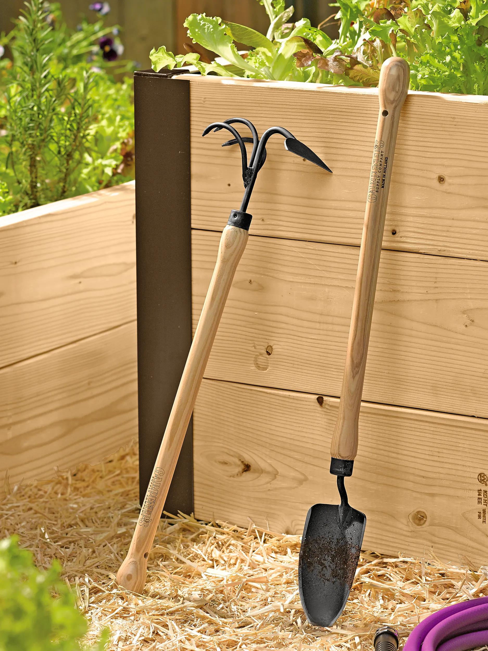 Binette-cultivateur 2-en-1 surélevé avec manche en bois