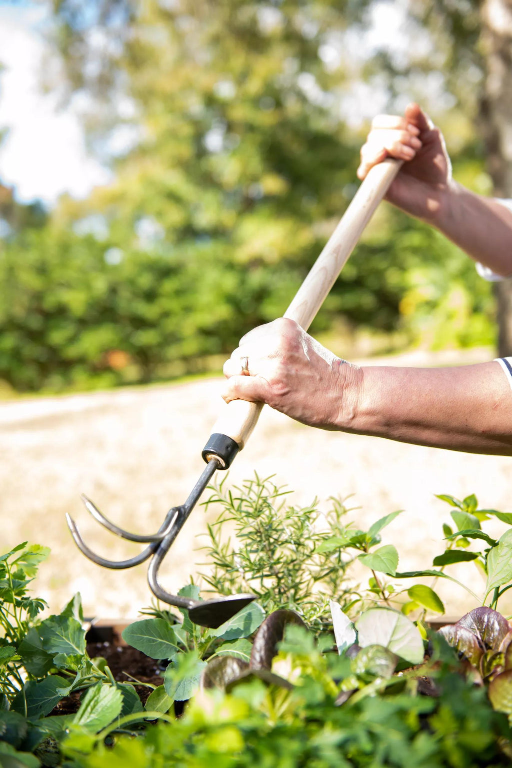 Binette-cultivateur 2-en-1 surélevé avec manche en bois