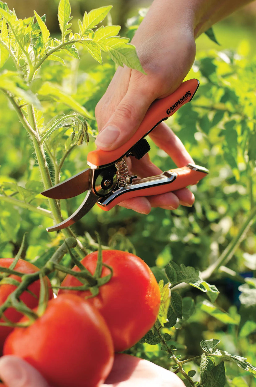 Sécateur de poche ergonomique orange Cisailles de jardin compactes, tranchantes et précises