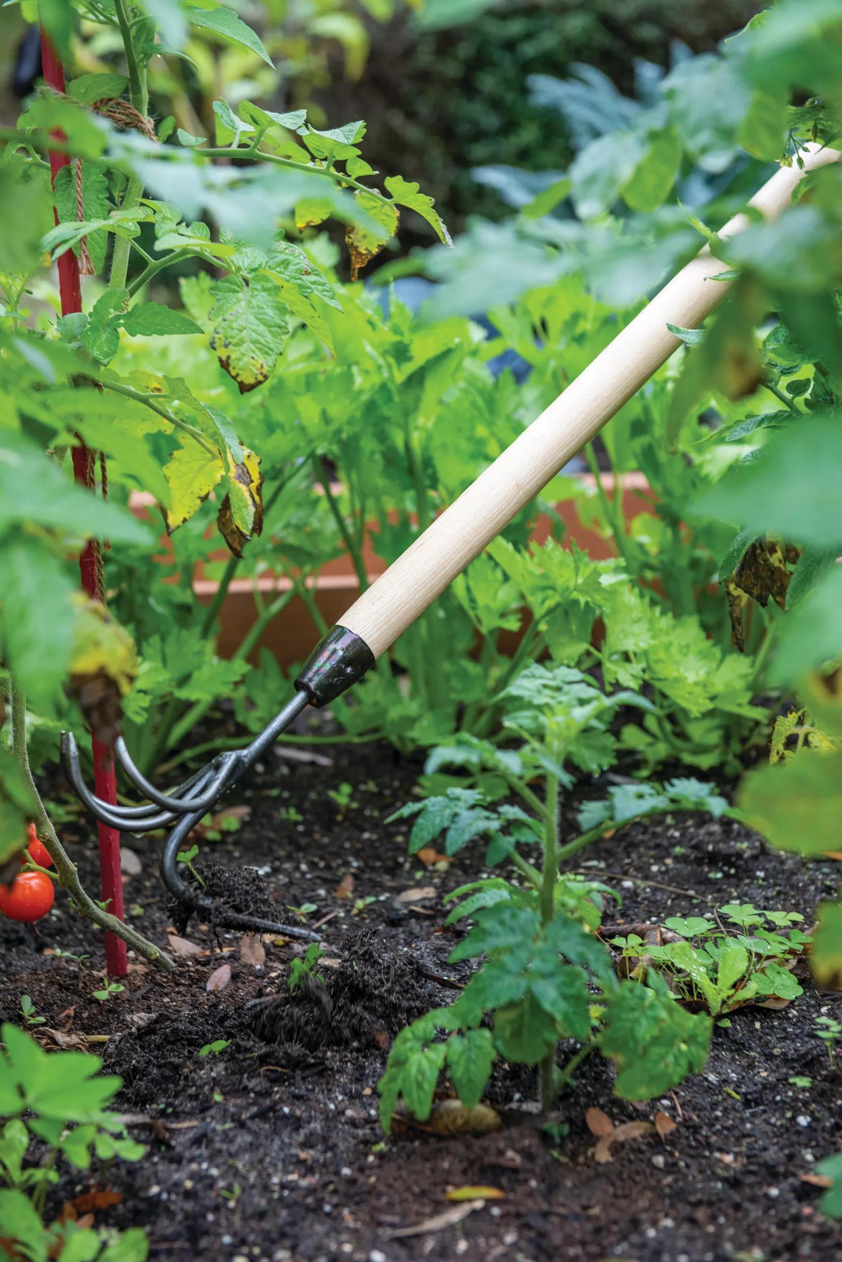 Outil de jardin cultivateur et binette double à long manche avec manche en bois dur
