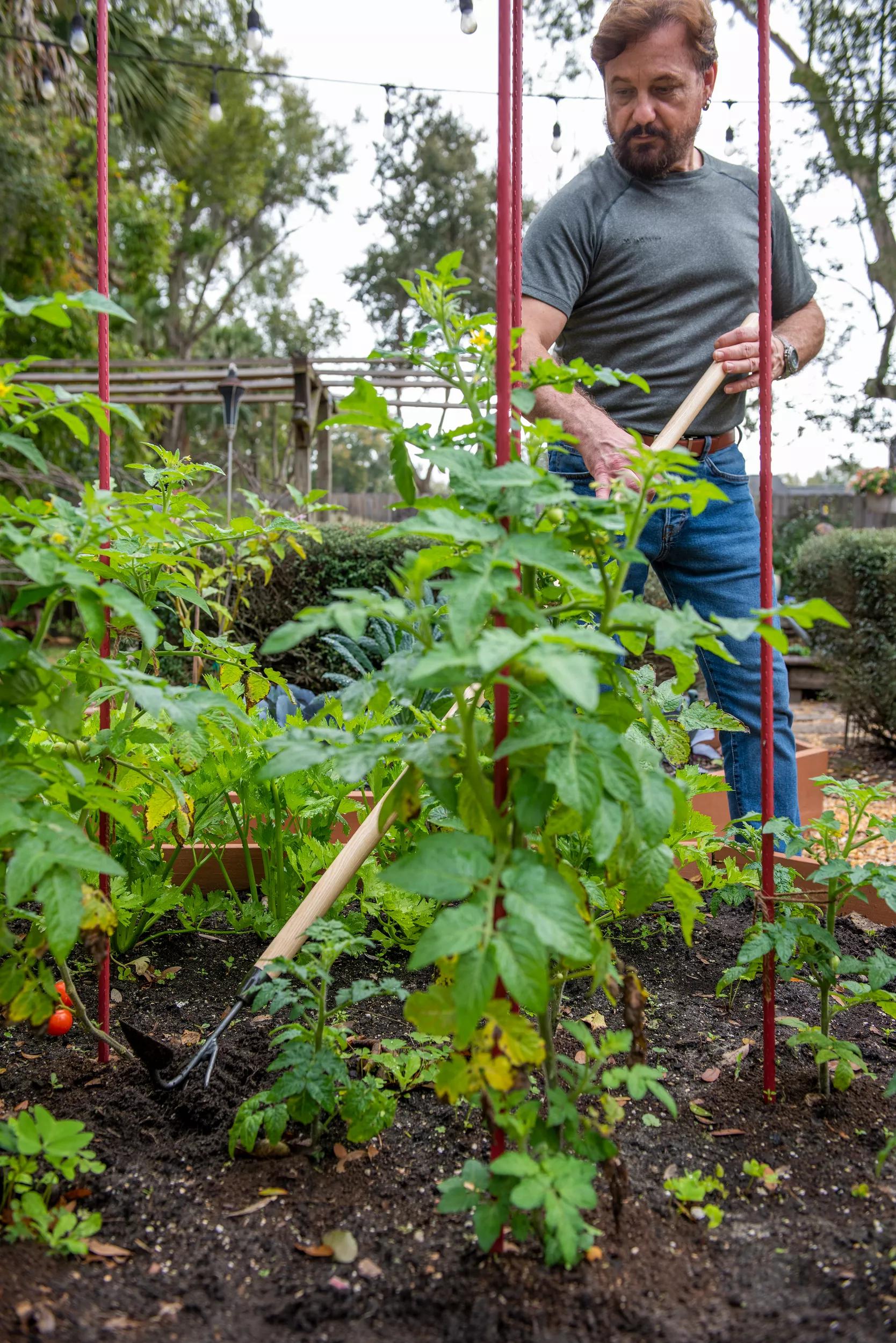 Outil de jardin cultivateur et binette double à long manche avec manche en bois dur