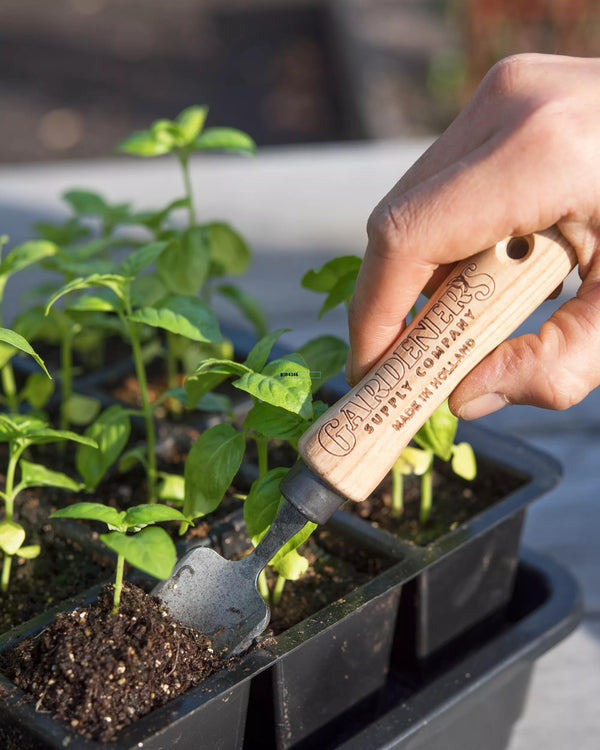 Mini-transplantoir pour semis, bonsaïs, plantes d'intérieur, petits jardins