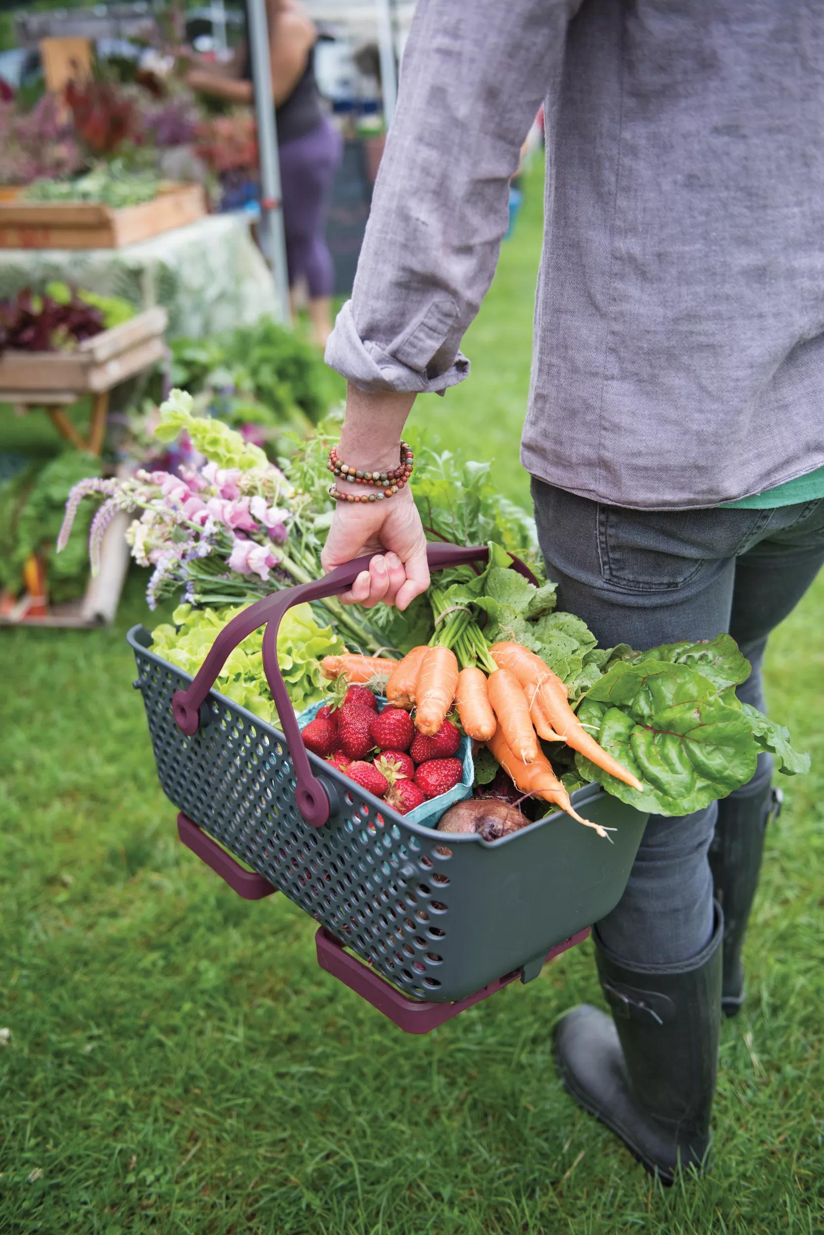 Panier de récolte de jardin avec pieds pliables, design perforé, plusieurs couleurs