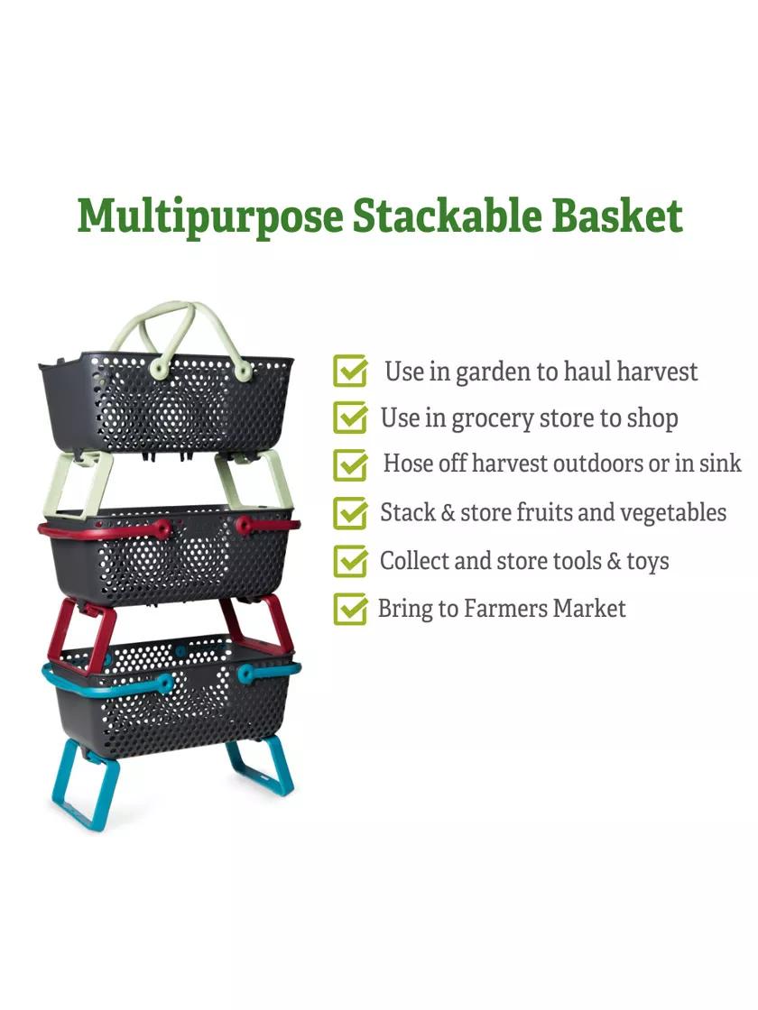 Panier de récolte de jardin avec pieds pliables, design perforé, plusieurs couleurs