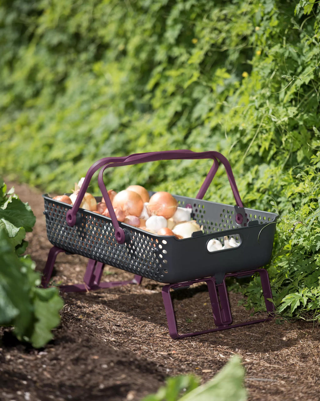 Grand panier de jardin à trépied pliant pour la récolte et le lavage des produits frais