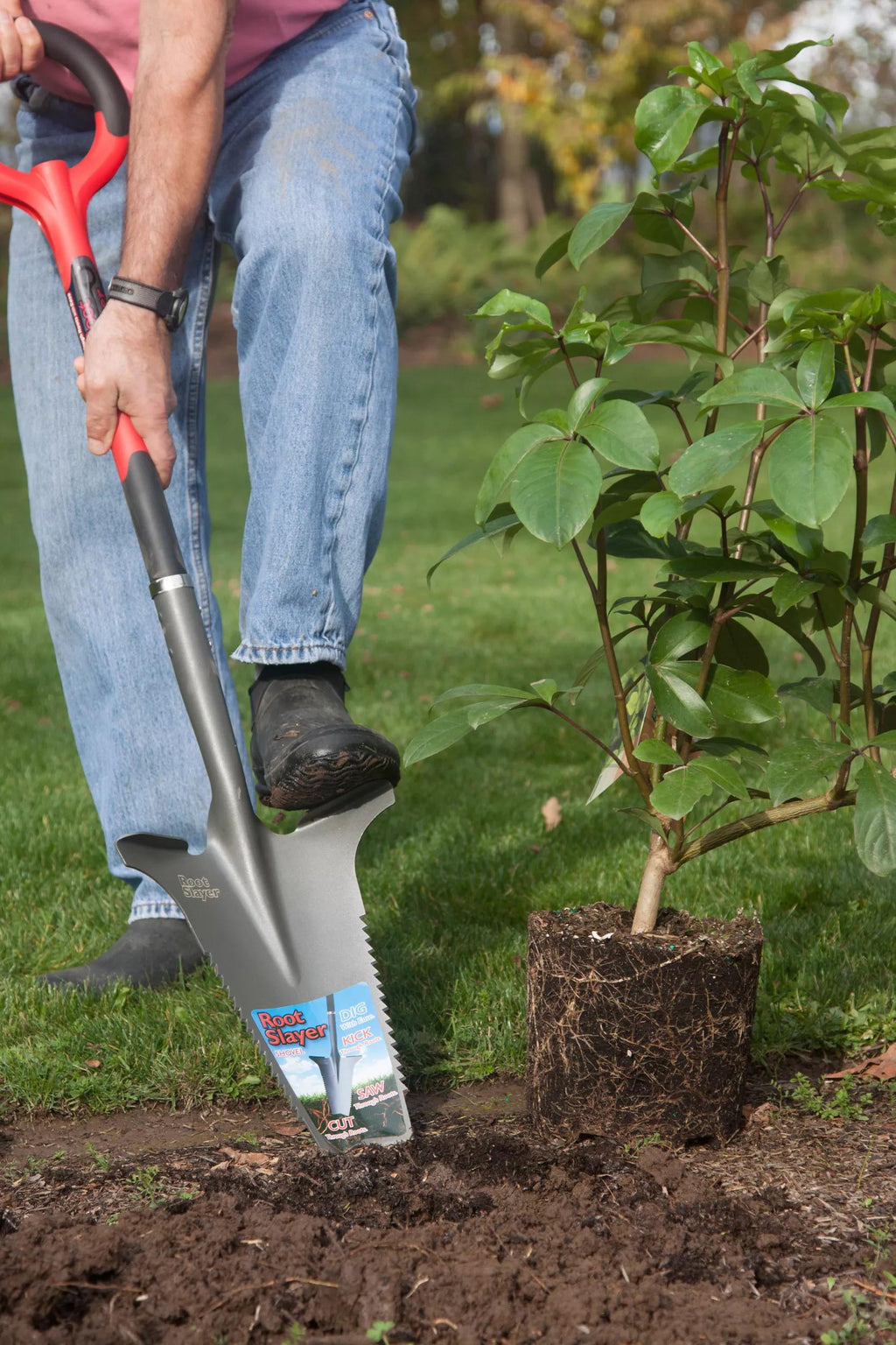 Pelle de jardin multi-usage robuste pour couper les racines
