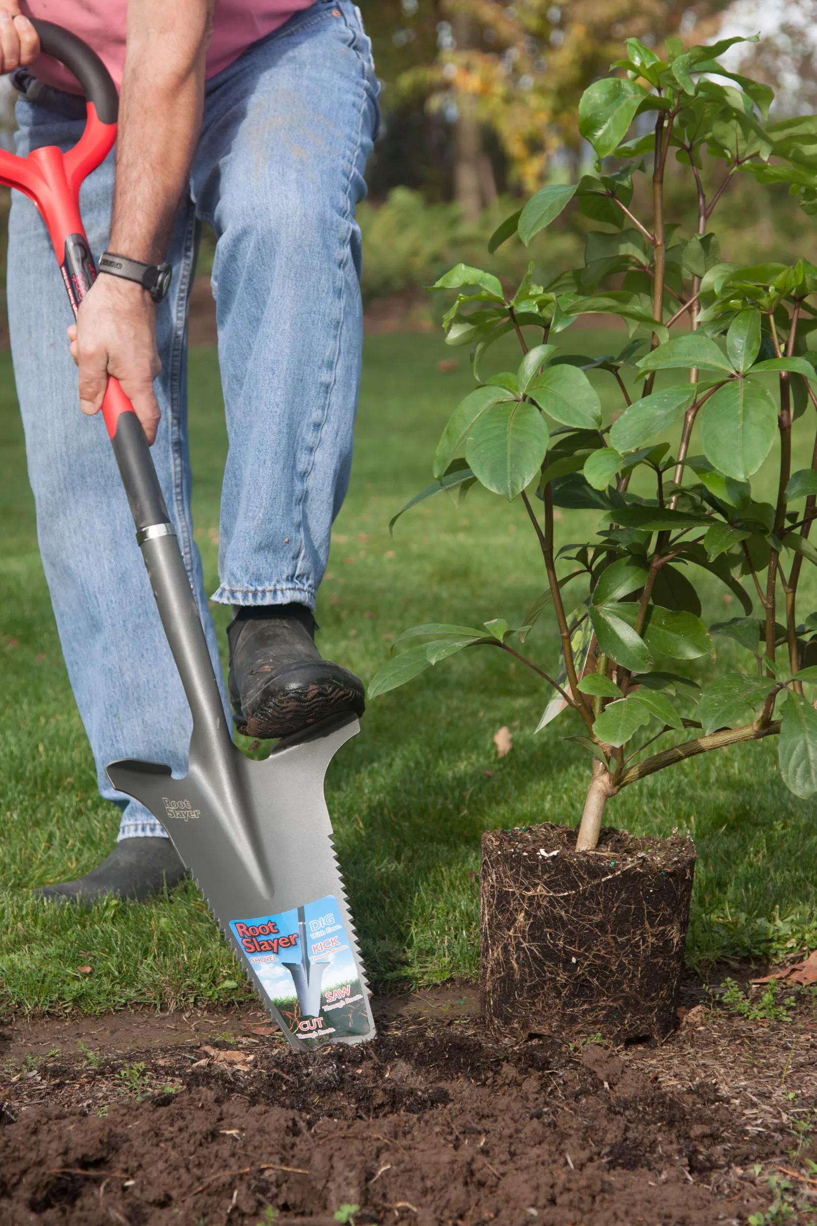 Pelle de jardin multi-usage robuste pour couper les racines
