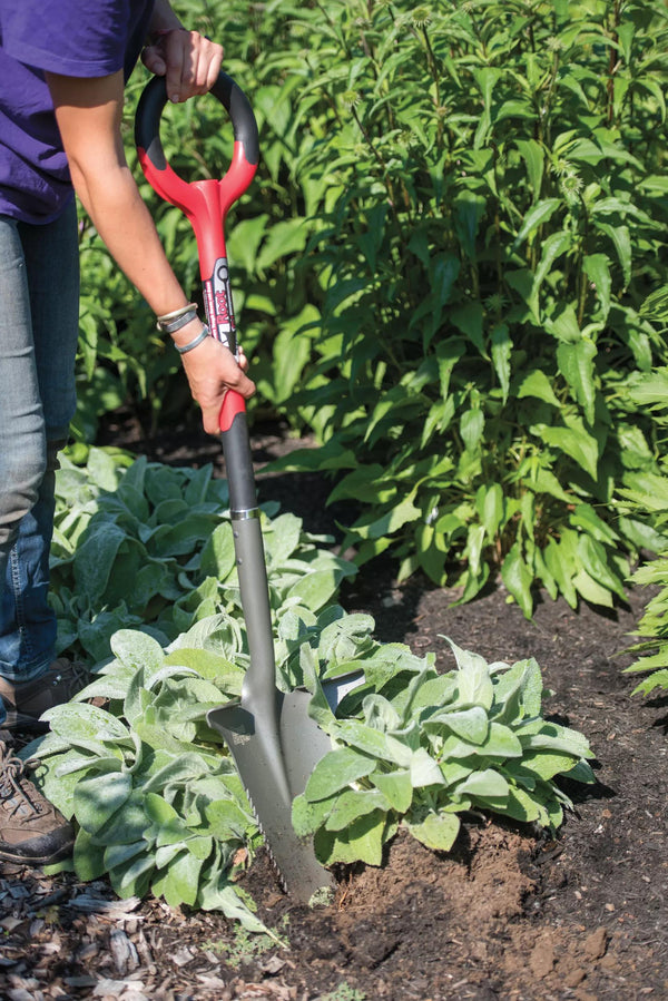 Pelle de jardin multi-usage robuste pour couper les racines