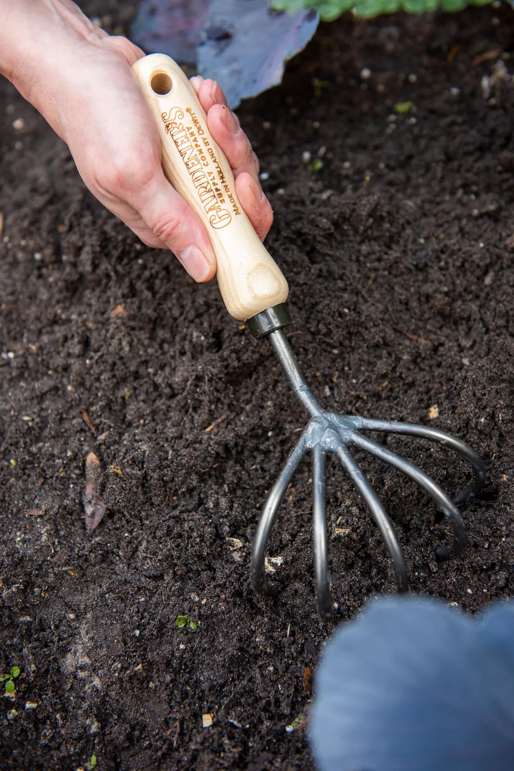 Cultivateur à main 5 dents avec manche court en frêne, dents en acier