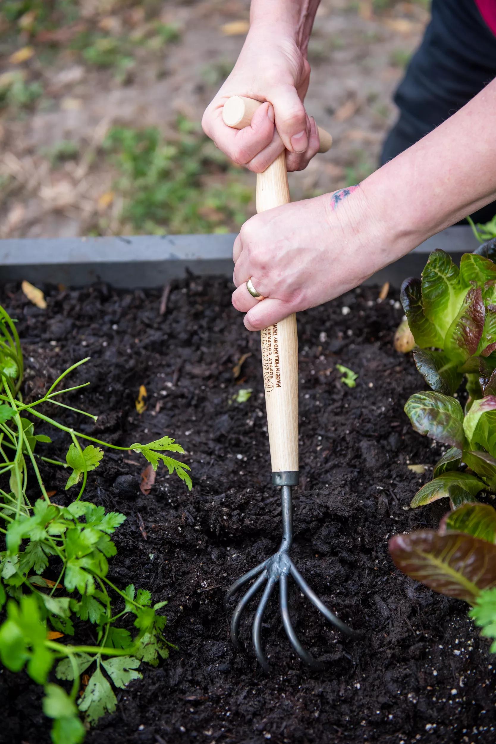 Cultivateur pour planches surélevées 5 dents T-Grip avec manche en bois de frêne
