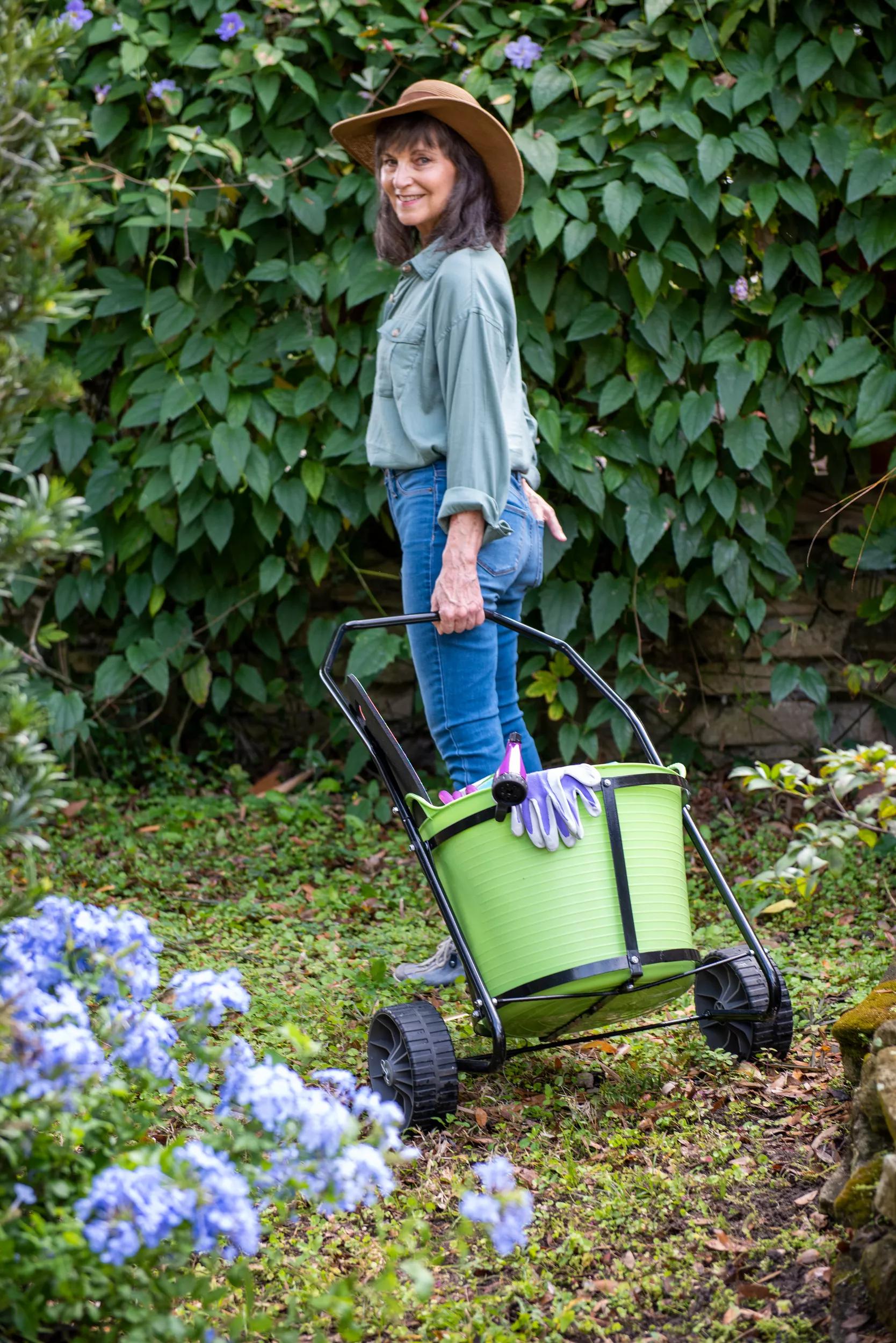 Chariot de jardin avec bac