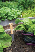 Couteau de jardin Hori Hori