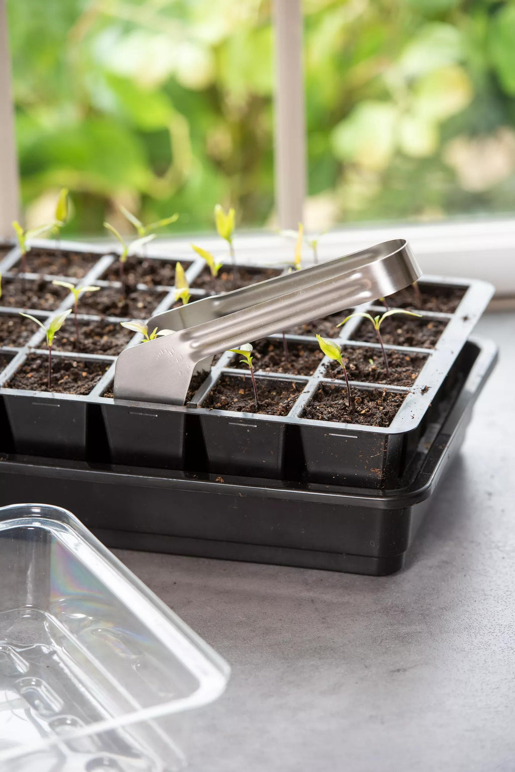 Pince à repiquer les semis pour plaques de semis, en acier inoxydable