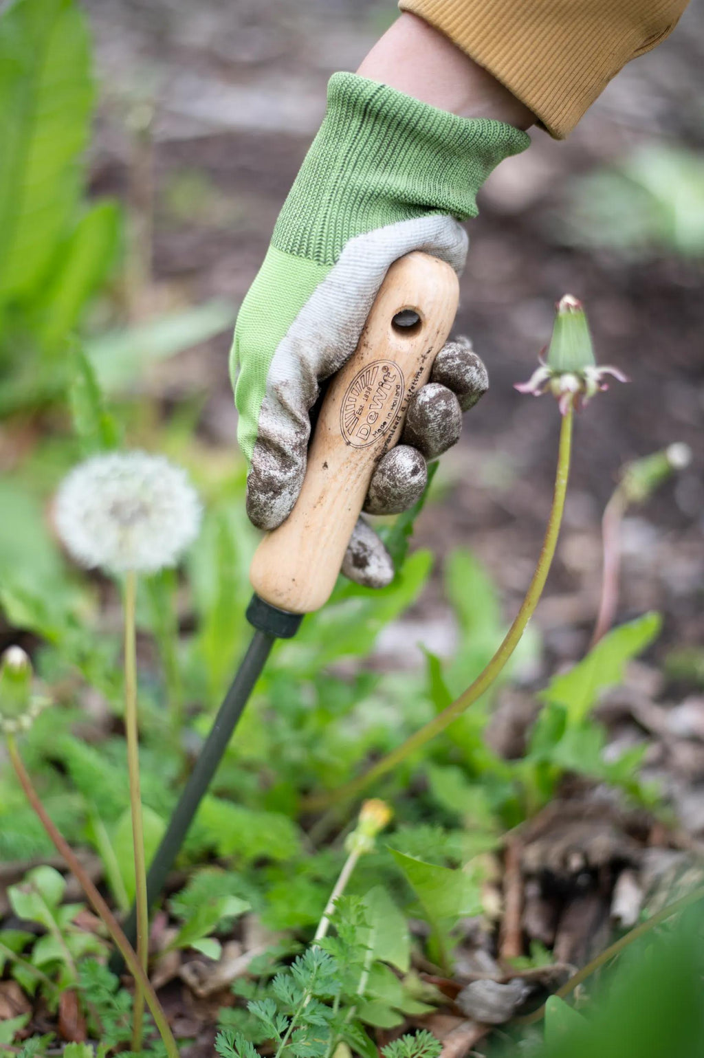 Désherbeur en acier forgé main avec manche en bois dur Outil de jardin